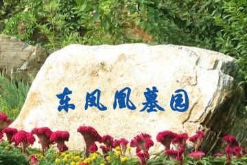宁波东凤凰墓园